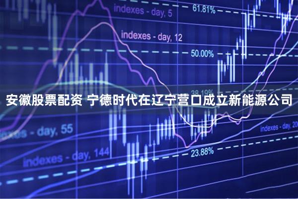 安徽股票配资 宁德时代在辽宁营口成立新能源公司