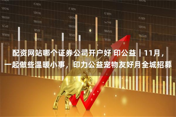 配资网站哪个证券公司开户好 印公益｜11月，一起做些温暖小事，印力公益宠物友好月全城招募